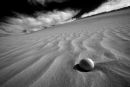 Desert Fruit